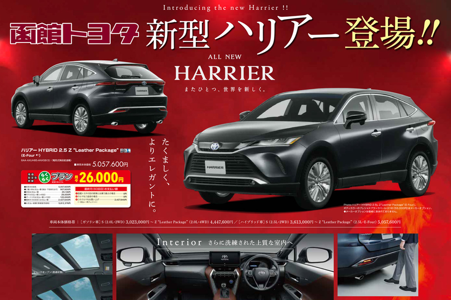 6月19日道新エゾリスおもて面1200